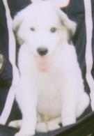 CharleyW