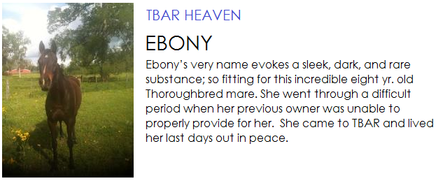 Ebony was a Thoroughbred mare, 8 years old, and lived out her last days in peace at TBAR
