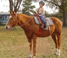 george2006