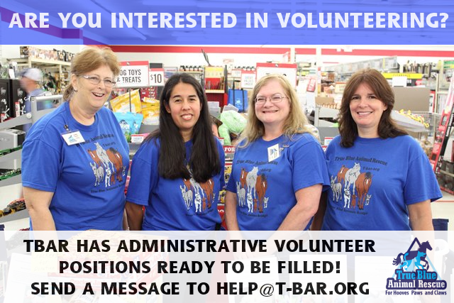 TBAR_12.7 Volunteers