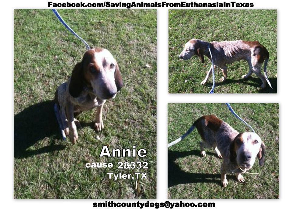 Annie