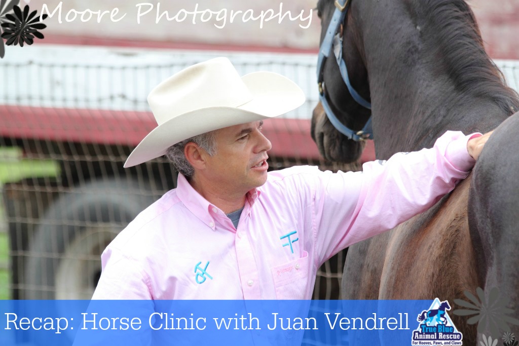 Juan Horse Clinic Recap