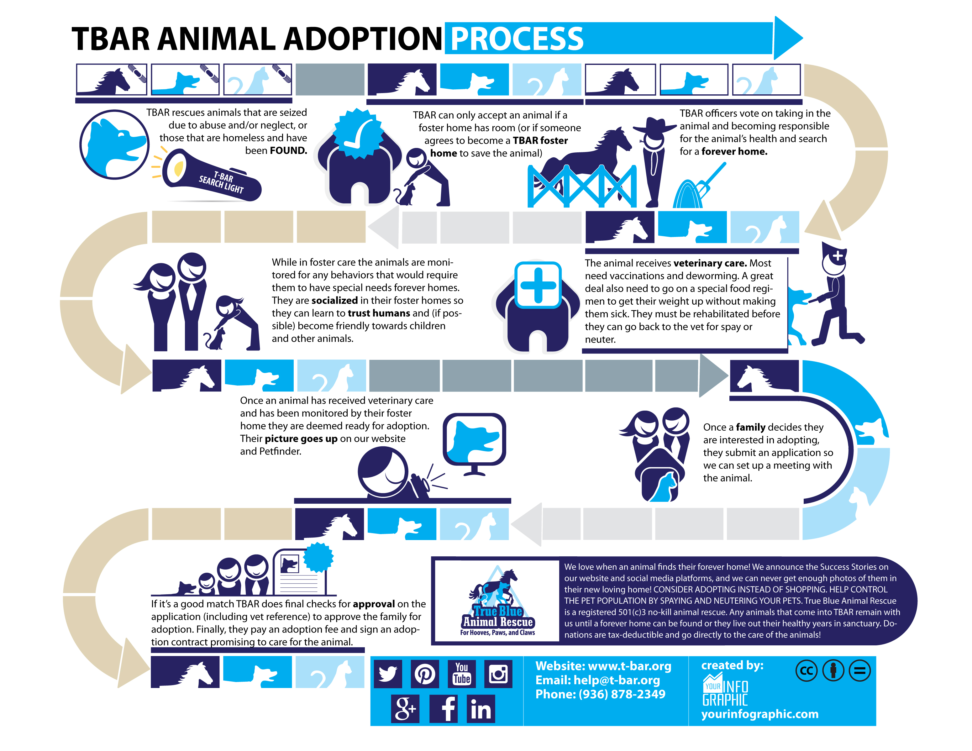 Infographic TBAR Animal Adoption Process True Blue Animal Rescue remember-the-3-3-3-rule-cat-tales-rescue-tx