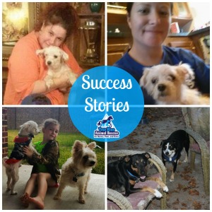 True Blue Animal Rescue Success Stories December 3, 2014