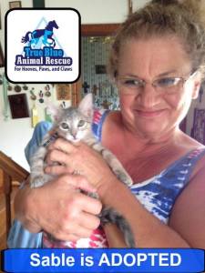 Success Story Sable True Blue Animal Rescue