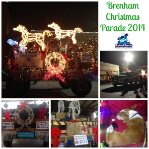 True Blue Animal Rescue Brenham Christmas Parade 2014 Results