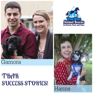 TrueBlueAnimalRescueSuccessStoryHannsAndGamora