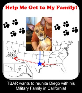 Diego Goes Home