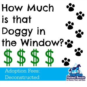 True-Blue-Animal-Rescue-Adoption-Fees-Deconstructed
