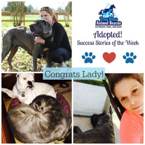 True-Blue-Animal-Rescue-Success-Story-Adopted-Lady