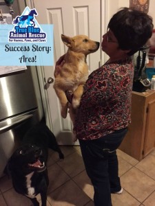 True Blue Animal Rescue Texas Success Story Ares