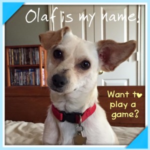 True-Blue-Animal-Rescue-Friday-Fluff-Olaf