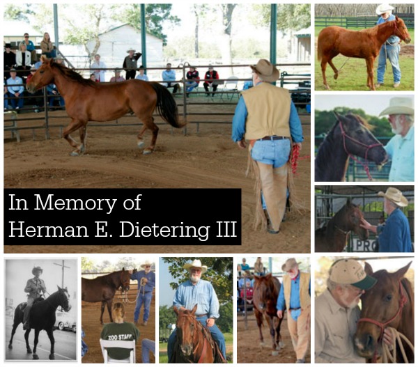 True-Blue-Animal-Rescue-In-Memory-of-Herman-Detering