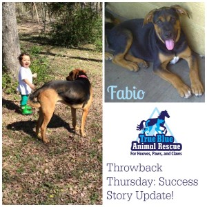 True-Blue-Animal-Rescue-Throwback-Success-Fabio