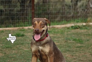 Photo of Opal by Moore Photography