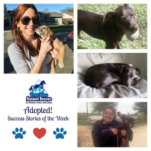 True-Blue-Animal-Rescue-Success-Stories-April-8