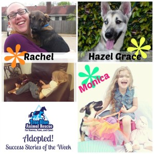 True-Blue-Animal-Rescue-Success-Story-Hazel-Grace-Rachel-Monica-Adopted