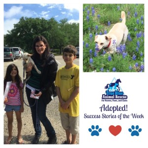 True Blue Animal Rescue Success Story Olaf
