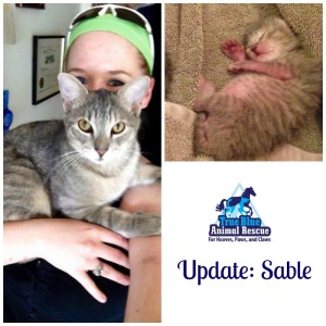True-Blue-Animal-Rescue-Throwback-Thursday-Sable-March-2015