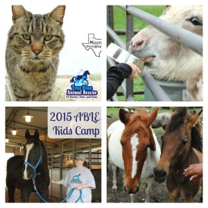 True-Blue-Animal-Rescue_2014_Kids-Camp-Alton