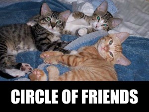 True-Blue-Animal-Rescue-Circle-of-Friends