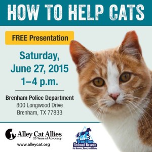 True-Blue-Animal-Rescue-Alley-Cat-Allies-Seminar