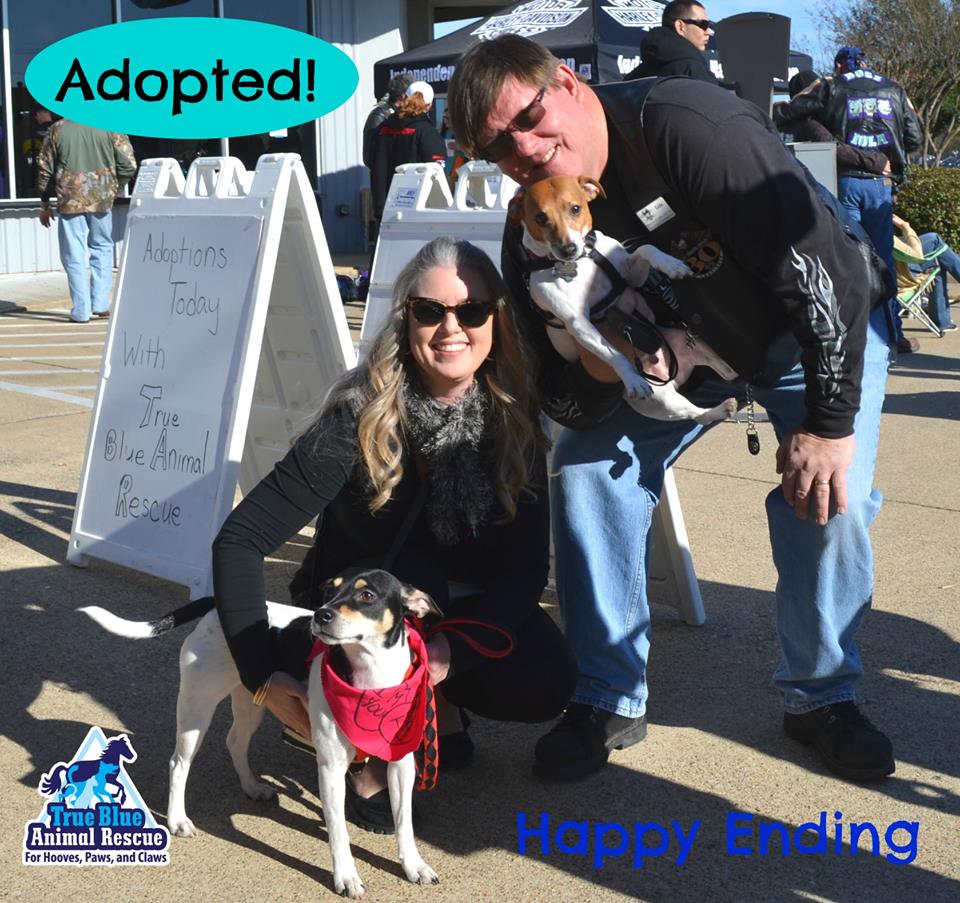 TBAR-Success-Nina-Dog-Adopted