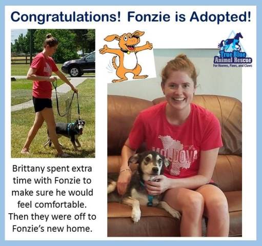 TBAR-Adopted-Fonzie-Dog