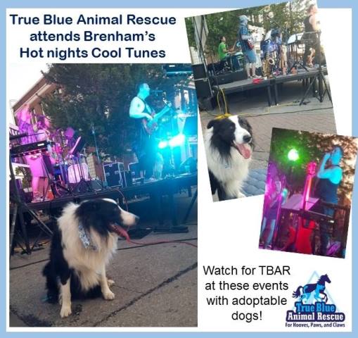 TBAR-Hot-Nights-Cool-Tunes-Brenham-2016