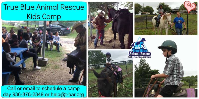 True-Blue-Animal-Rescue-Read-Ride-Kids-Camp-2016