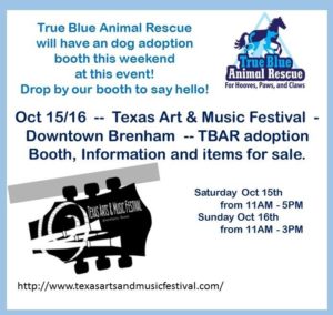 texas-arts-music-festival-brenham-2016